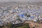 06 Jodpur Mix (106)